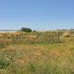 Comfy In Lido Dei Pini - Beahost דירה ביביונה