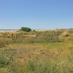 דירה Comfy In Lido Dei Pini - Beahost *