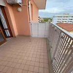 Comfy In Lido Dei Pini - Beahost דירה *