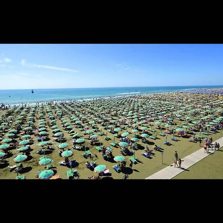 Comfy In Lido Dei Pini By Beahost * ビビオーネ