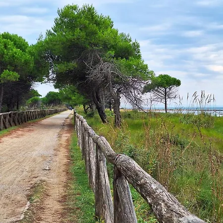 דירה Comfy In Lido Dei Pini - Beahost *
