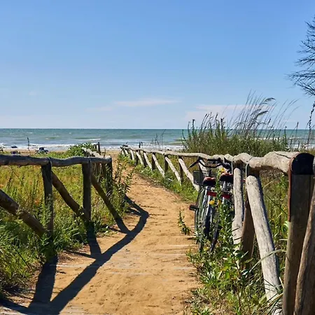 Comfy In Lido Dei Pini - Beahost 비비오네