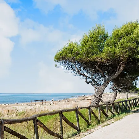 Comfy In Lido Dei Pini - Beahost